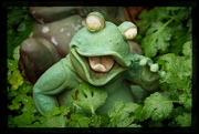 23rd Mar 2024 - LHG_8412The Green Frog