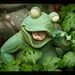 LHG_8412The Green Frog by rontu