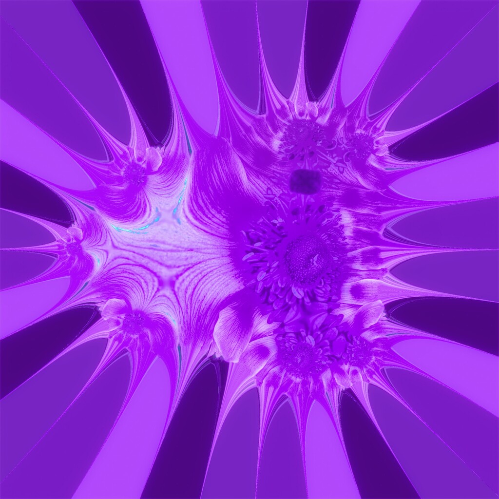 Purple Flowers by shutterbug49