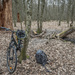 Cycling through the forest by haskar