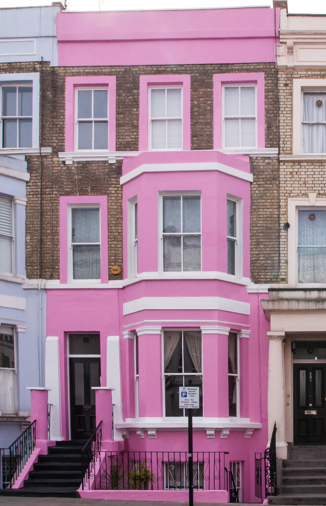 Pink sensation Notting Hill by brigette
