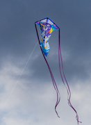 23rd Mar 2024 - Unicorn Kite