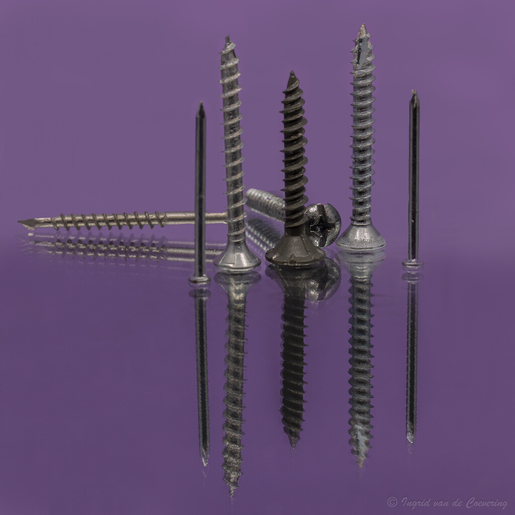 screws in purple by ingrid01