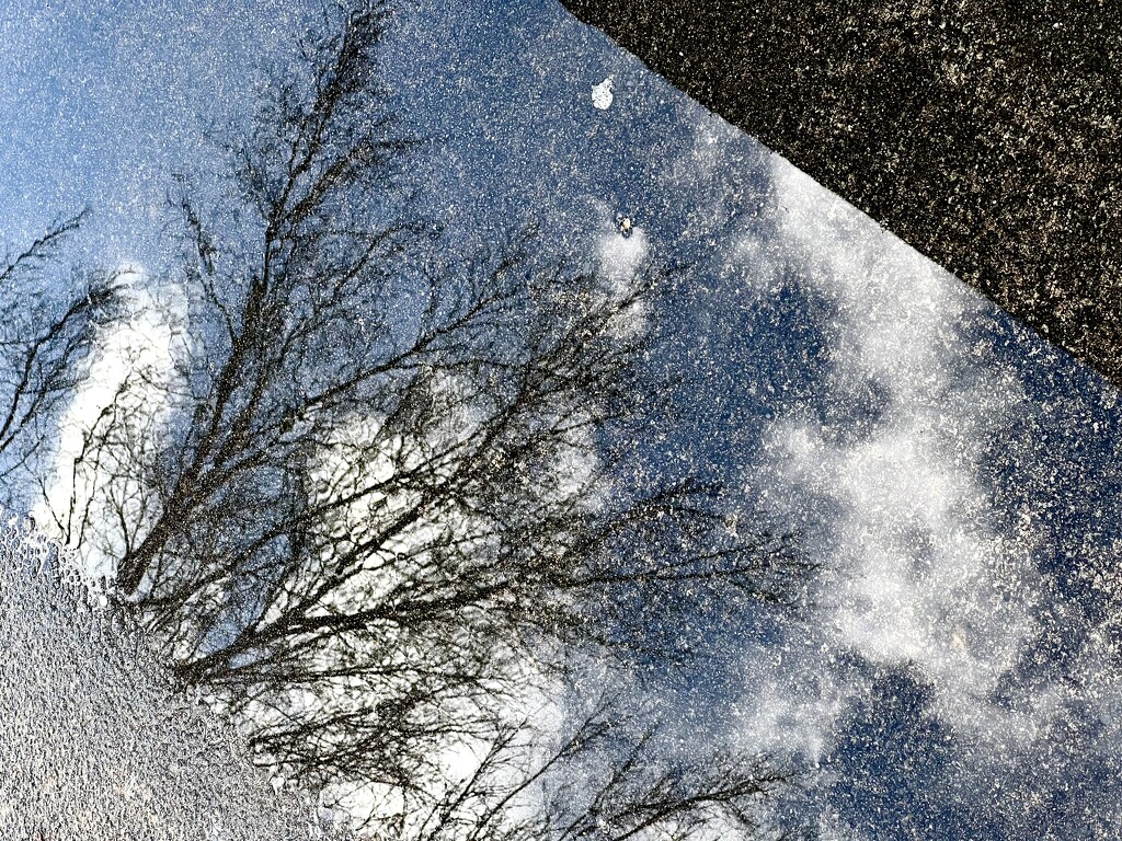 Perspective in a Puddle by calm