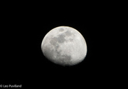 23rd Mar 2024 - Moon