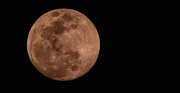 23rd Mar 2024 - Almost Full Moon!