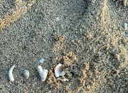 23rd Mar 2024 - Heart on the beach 
