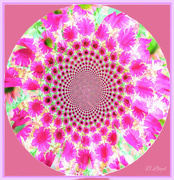 24th Mar 2024 - In the pink.- patterns. 