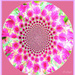 In the pink.- patterns.  by beryl