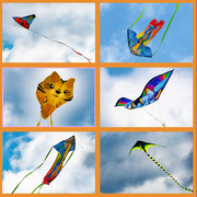24th Mar 2024 - Paulding Kite Day