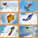 Paulding Kite Day by k9photo