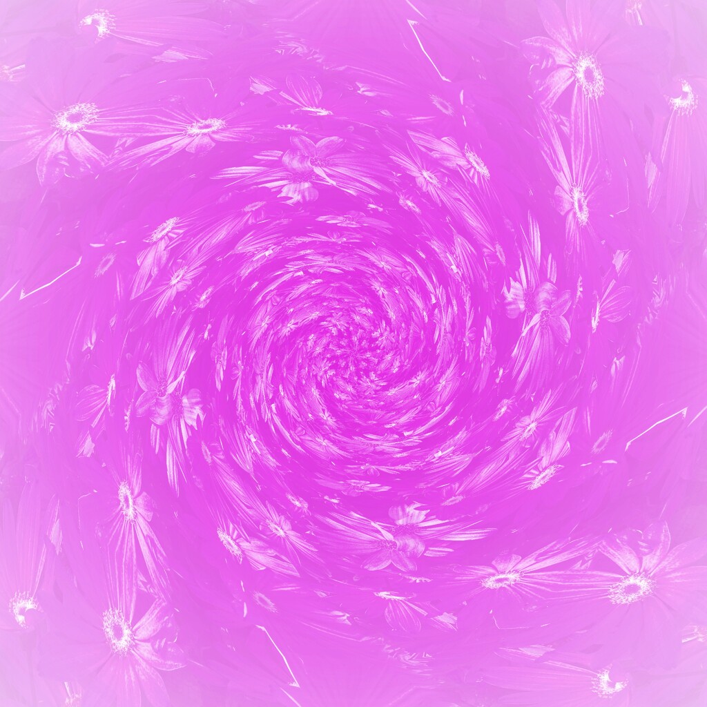 Pink Bouquet by shutterbug49