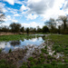 The water meadows by nigelrogers