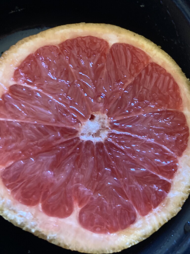 Pink Grapefruit  by spanishliz