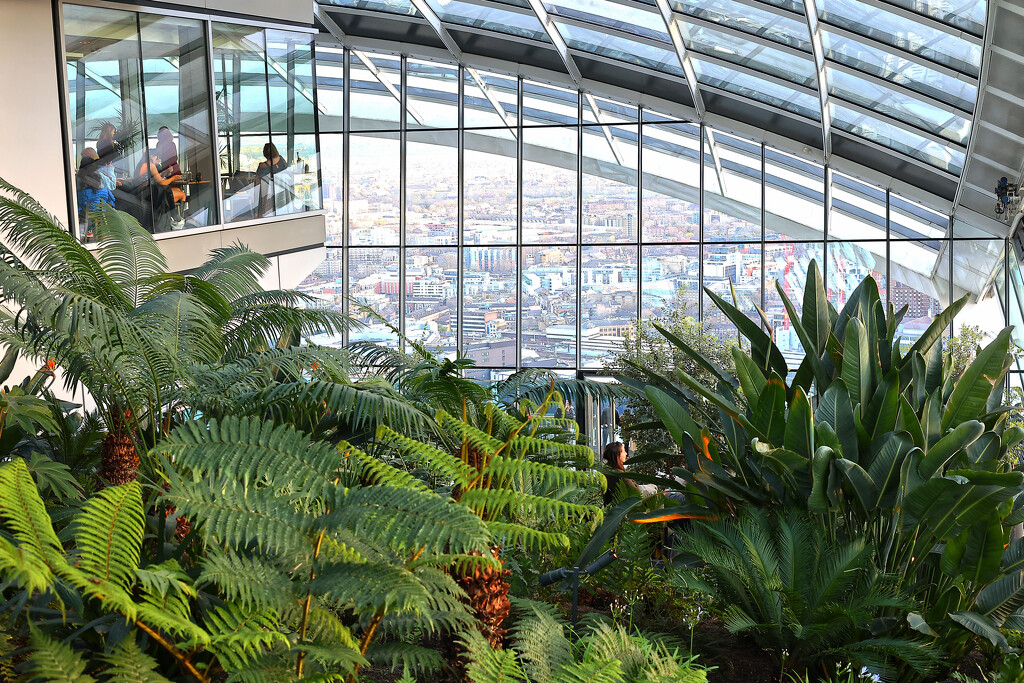 Looking out from the Sky Garden by neil_ge