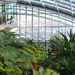 Looking out from the Sky Garden
