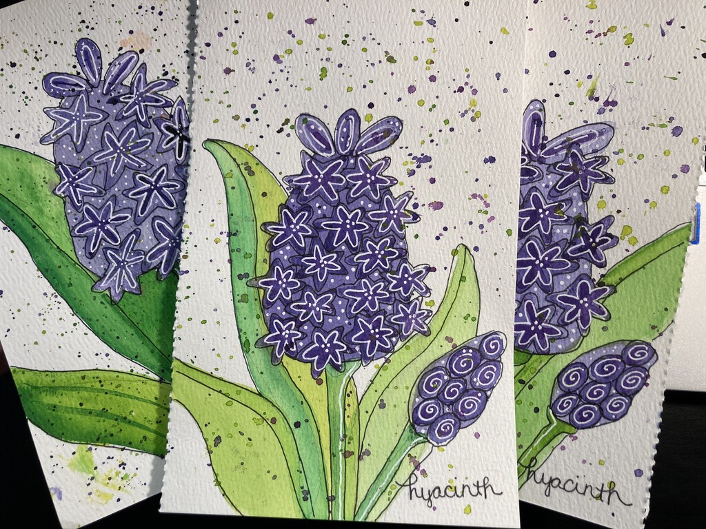 hyacinth watercolor practice by wiesnerbeth