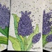 hyacinth watercolor practice