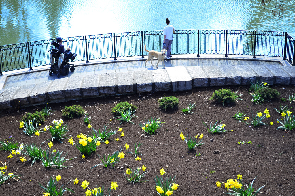 A handicapped student, his dog and a friend take in the view @ Mirror Lake by ggshearron