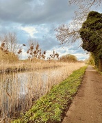 19th Mar 2024 - Tow path....