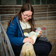 25th Mar 2024 - Feeding four week old lambs