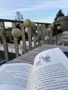 25th Mar 2024 - First reading on the balcony of the season