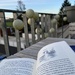 First reading on the balcony of the season