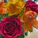 Roses by craftymeg