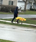 25th Mar 2024 - Doggy raincoat. ☔️