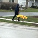 Doggy raincoat. ☔️