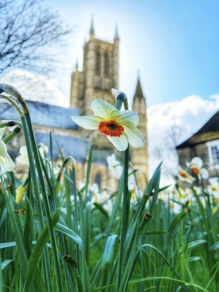 Spring at the Cathedral  by carole_sandford