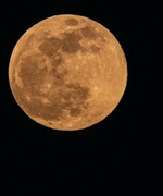 25th Mar 2024 - March Full Moon