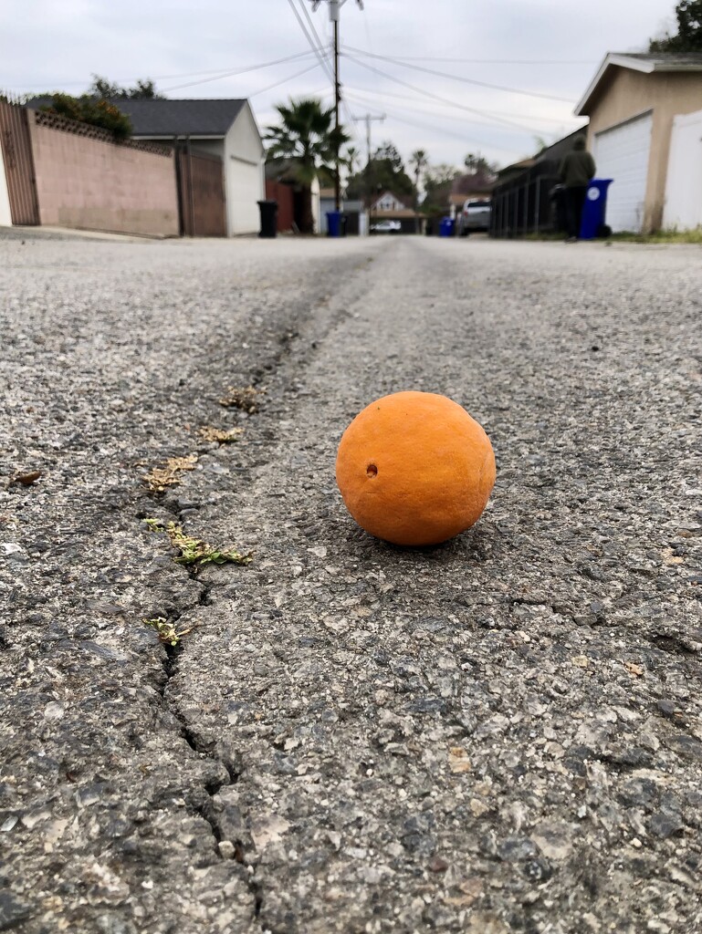 Orange in the Alley by loweygrace