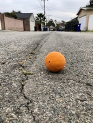 26th Mar 2024 - Orange in the Alley