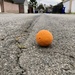 Orange in the Alley