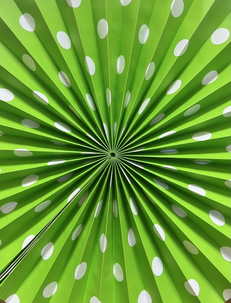 Green Spiral by peekysweets