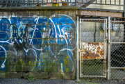 25th Mar 2024 - Graffiti 