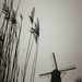 Kinderdijk, Netherlands by ankers70