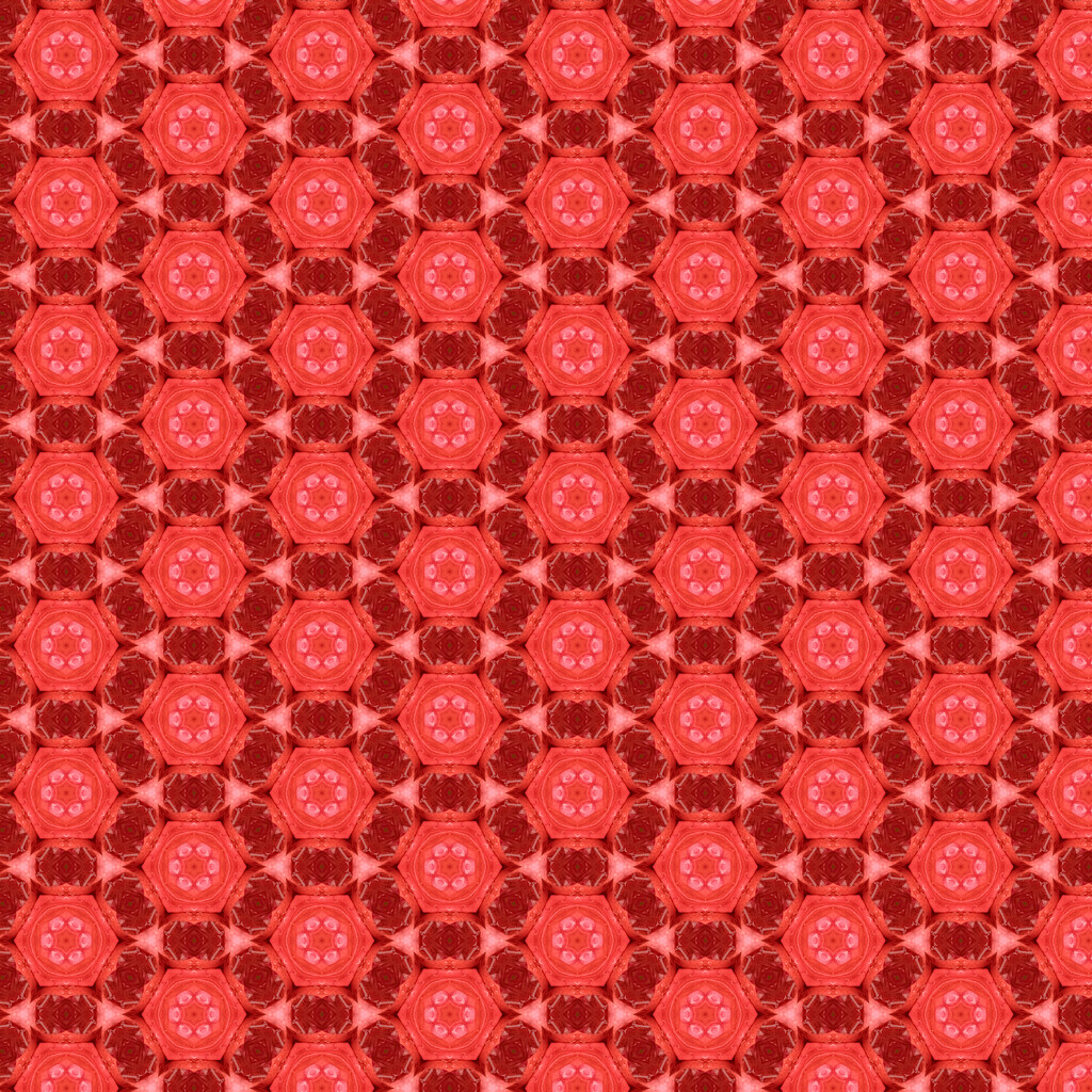 red patterns by koalagardens