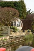 19th Mar 2024 - Gardens along the canal.......