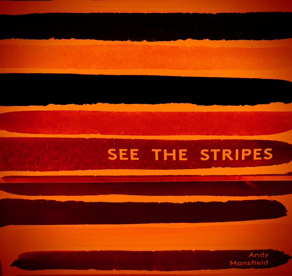 Stripes  by rensala