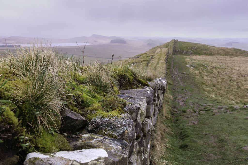 Hadrian's wall by helenhall