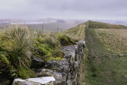 26th Mar 2024 - Hadrian's wall