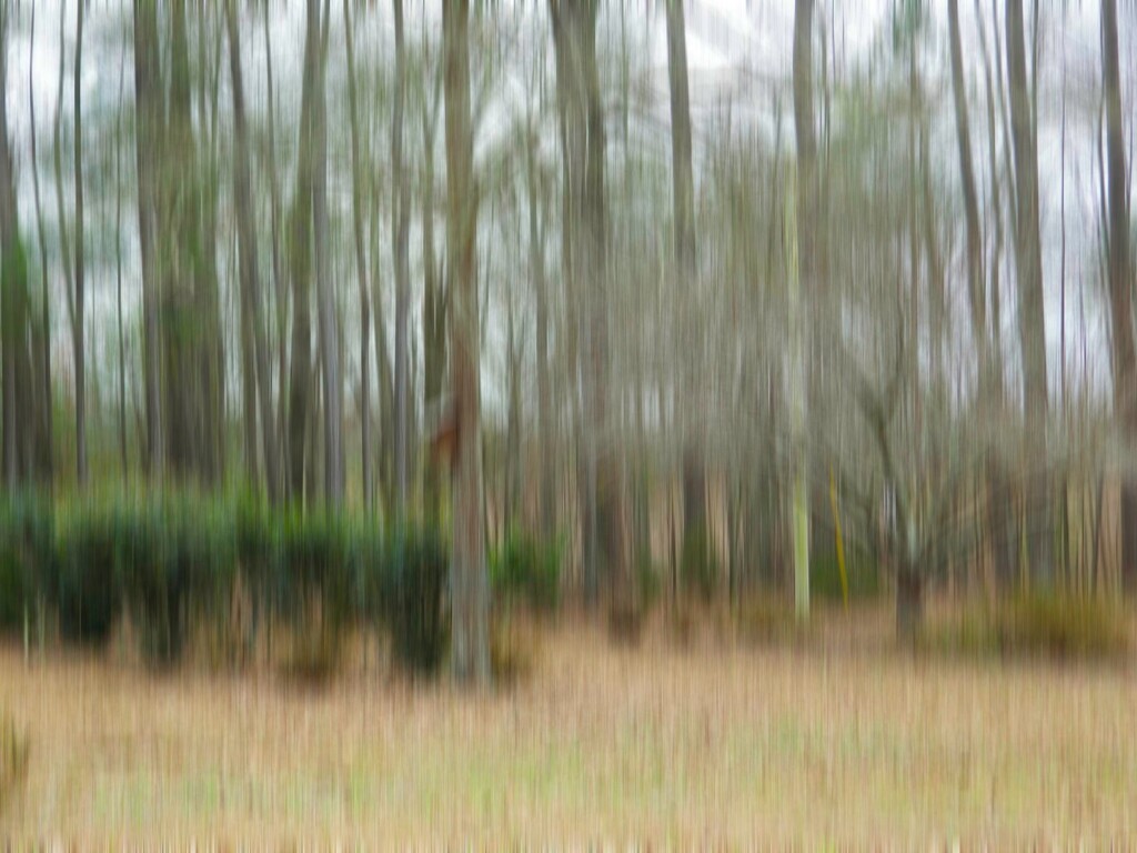 Vertical motion blur 2... by marlboromaam