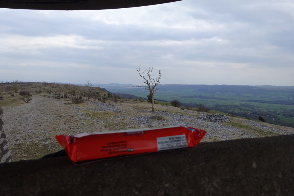 Toffee Crisp on Scout Scar by anniesue