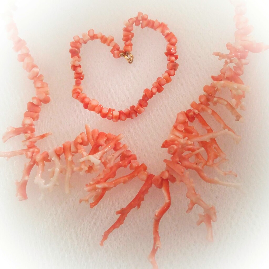 Orange coral... by marlboromaam