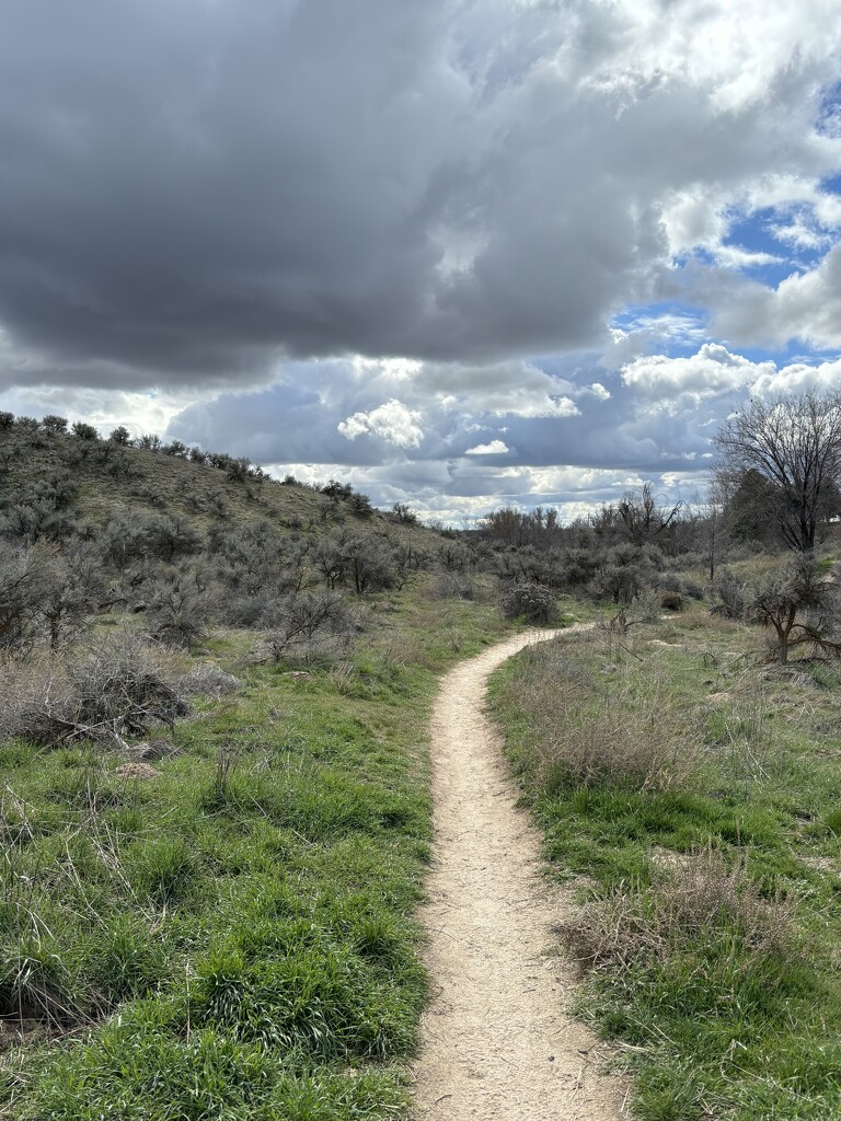 Trail Time by pirish