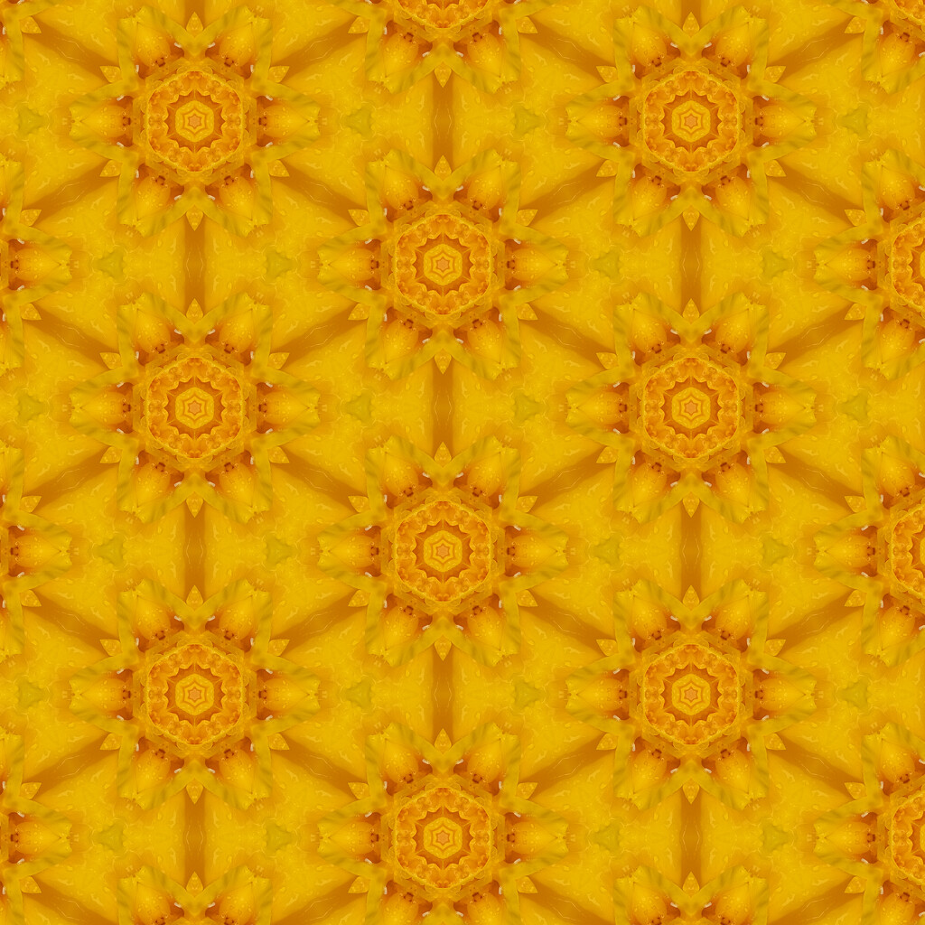 patterns in yellow by koalagardens