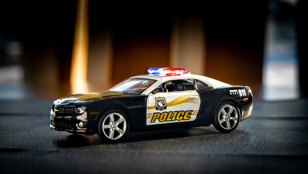 84-365 Police Car by juliecor