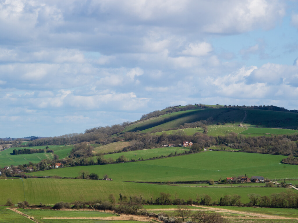 View from Bury Hill by josiegilbert